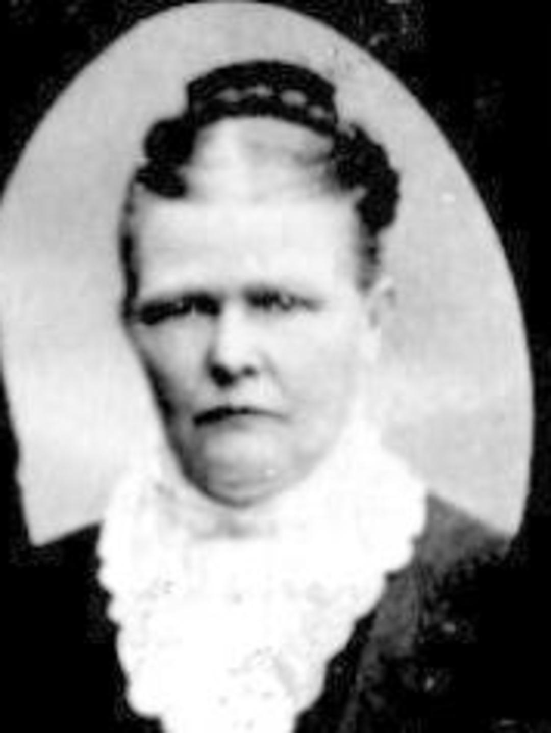 Mary Ann Holt (1840 - 1916) Profile